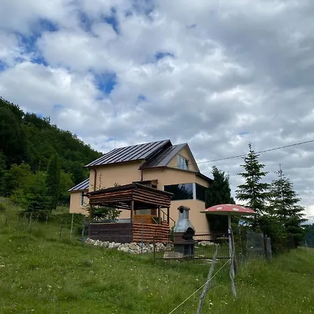 Luca Villa Ciocanu