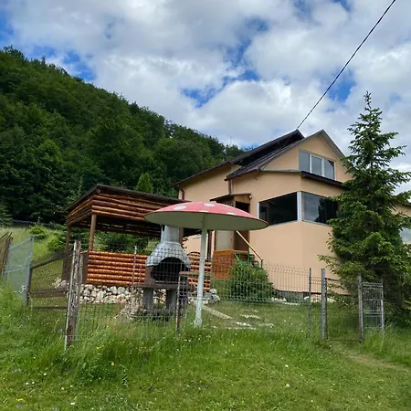 Luca Villa *