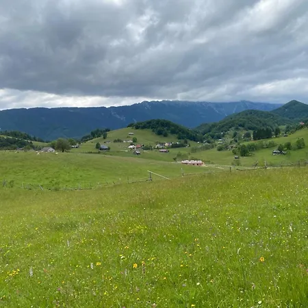 Villa Luca *