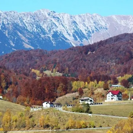 Villa Luca Ciocanu