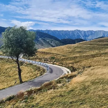 Luca Villa *